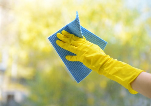 Specialist pet odour neutralising process in Brent Cross