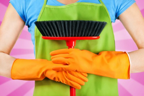 Professional hot water extraction carpet cleaning process in Brent Cross