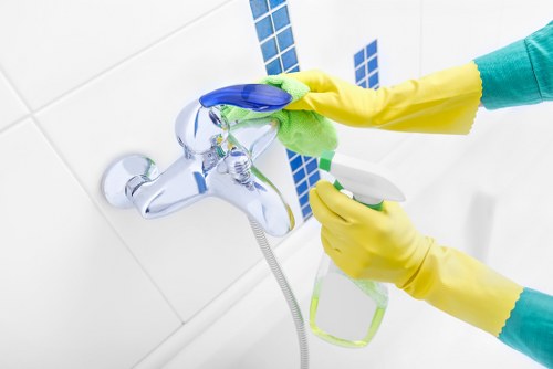 SSL encrypted checkout concept for carpet cleaning payments
