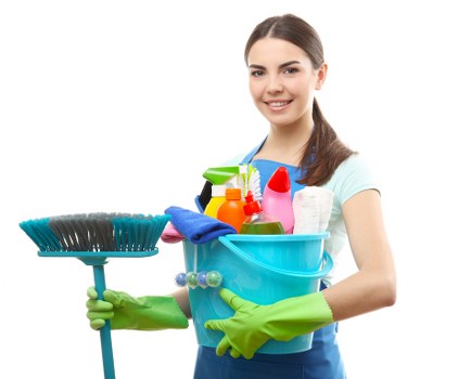 Deep cleaning treatment for pet urine odour in Brent Cross upholstery